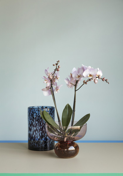 Vase Leo Cylinder, Glas, blau/bordeaux, 2er-Set