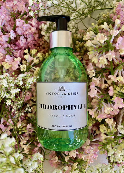 Seife CHLOROPHYLLE VICTOR VAISSIER