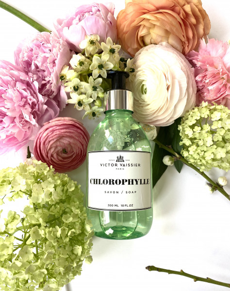 Seife CHLOROPHYLLE VICTOR VAISSIER